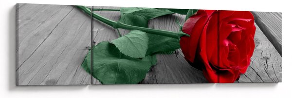 Obraz - Červená růže se zeleným stonkem (170x50 cm)