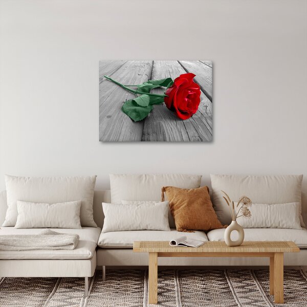 Obraz - Červená růže se zeleným stonkem (70x50 cm)