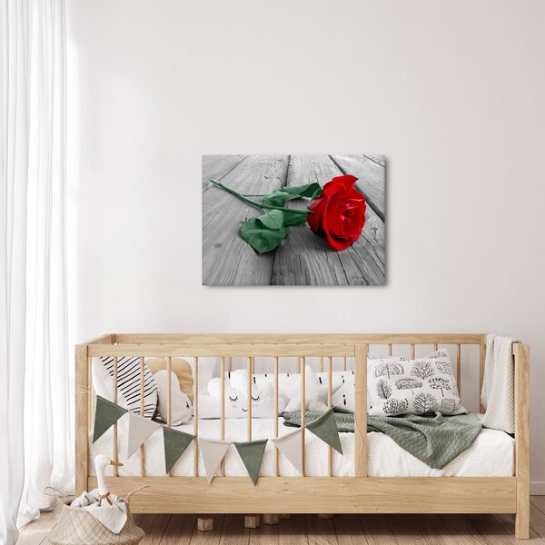 Obraz - Červená růže se zeleným stonkem (70x50 cm)