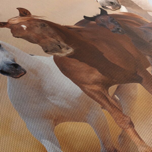 Obraz - Stádo koní (170x50 cm)