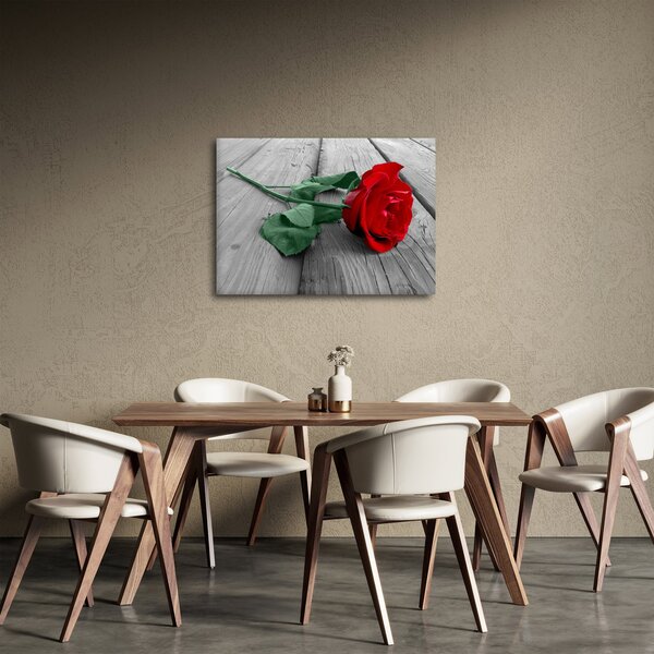 Obraz - Červená růže se zeleným stonkem (70x50 cm)