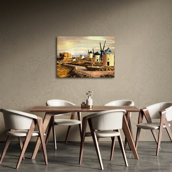 Obraz - Větrné mlýny (70x50 cm)
