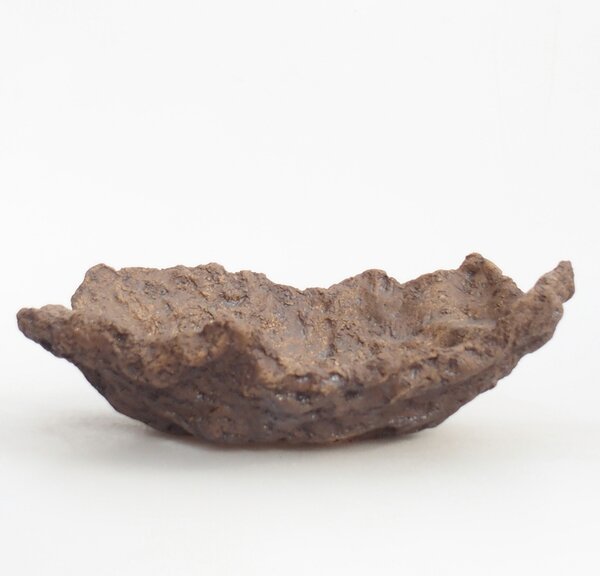 E-bonsai Keramická Skořápka 20 x 14 x 7 cm hnědá