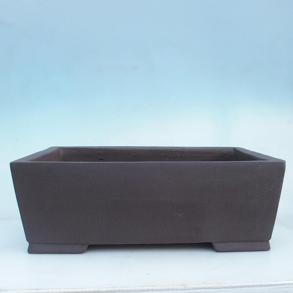 E-bonsai Bonsai miska 50 x 34 x 17 cm hnědá -pouze paletová přeprava