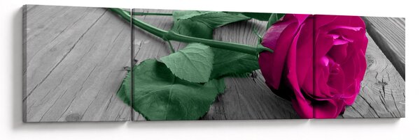 Obraz - Růžová růže se zeleným stonkem (170x50 cm)