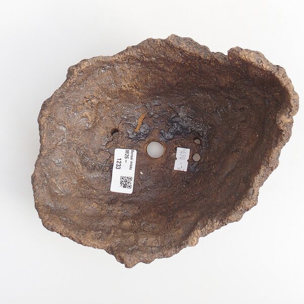 E-bonsai Keramická Skořápka 19 x 16 x 16 cm hnědá