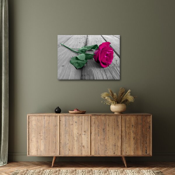 Obraz - Růžová růže se zeleným stonkem (70x50 cm)