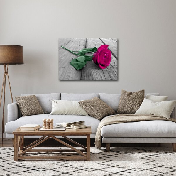 Obraz - Růžová růže se zeleným stonkem (70x50 cm)