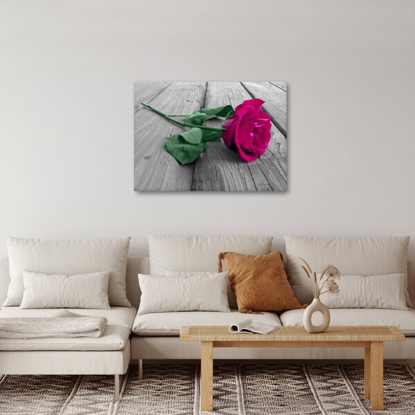 Obraz - Růžová růže se zeleným stonkem (70x50 cm)