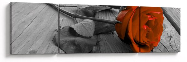 Obraz - Oranžová růže (170x50 cm)