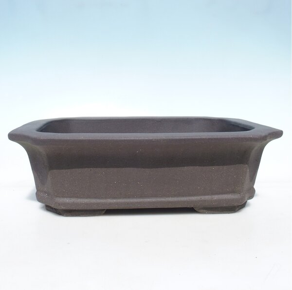E-bonsai Bonsai miska 40 x 30 x 12 cm - barva hnědá