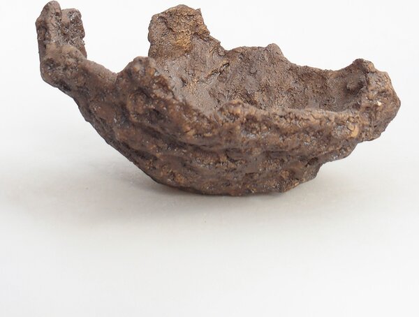 E-bonsai Keramická Skořápka 18 x 18 x 12 cm hnědá