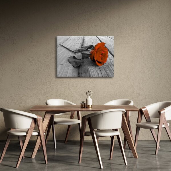 Obraz - Oranžová růže (70x50 cm)