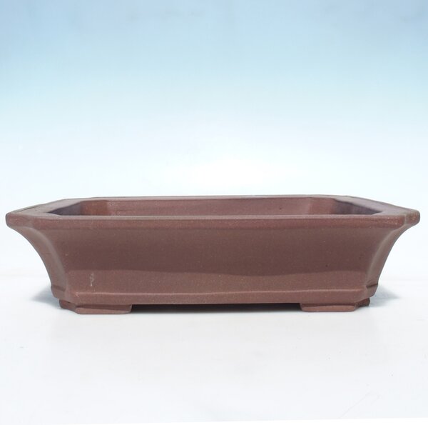 E-bonsai Bonsai miska 35,5 x 29,5 x 8,5 cm - barva hnědá