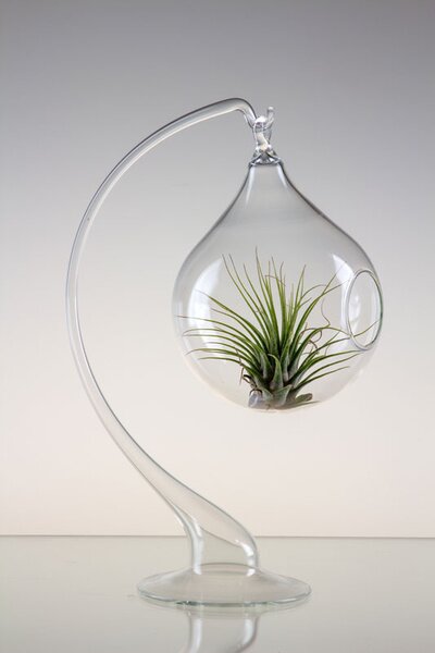 Aerárium slza 8 cm