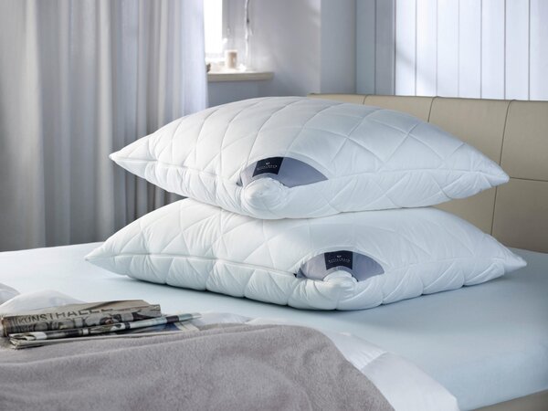 POLŠTÁŘ, 70/90 cm Billerbeck - Polštáře pod hlavu