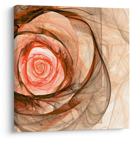 Obraz - Abstraktní růže růžová s bílým pozadím (30x30 cm)