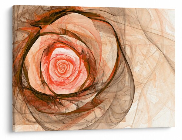 Obraz - Abstraktní růže růžová s bílým pozadím (70x50 cm)