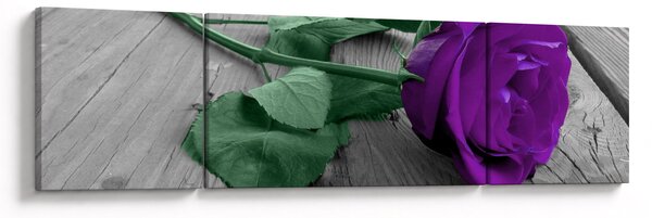 Obraz - Fialová růže se zeleným stonkem (170x50 cm)