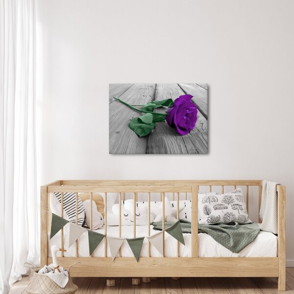 Obraz - Fialová růže se zeleným stonkem (70x50 cm)
