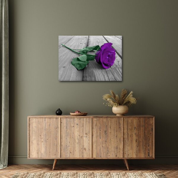 Obraz - Fialová růže se zeleným stonkem (70x50 cm)