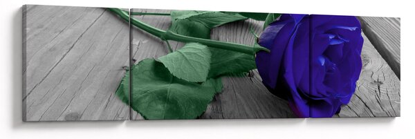 Obraz - Modrá růže se zeleným stonkem (170x50 cm)