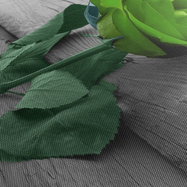 Obraz - Zelená růže (s hodinami) (90x30 cm)