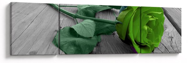 Obraz - Zelená růže (170x50 cm)