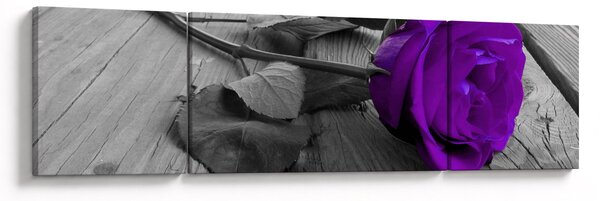 Obraz - Fialová růže se zeleným stonkem (170x50 cm)