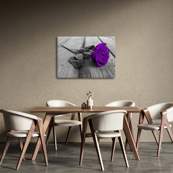 Obraz - Fialová růže se zeleným stonkem (70x50 cm)