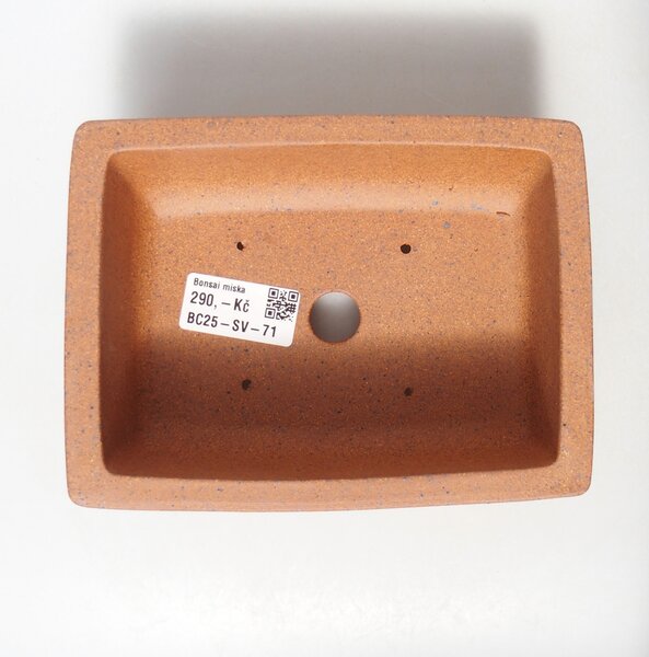 E-bonsai Miska 16 x 12 x 6,5 cm barva hnědá