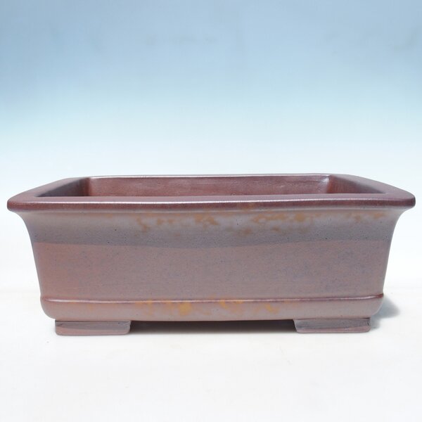 E-bonsai Miska 42 x 30 x 15 cm barva hnědá - POUZE OSOBNÍ ODBĚR nebo paletová přeprava