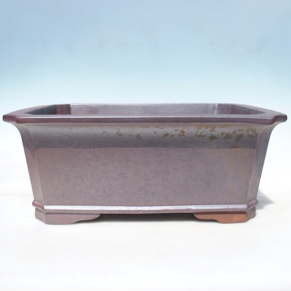 E-bonsai Miska 51,5 x 37,5 x 21 cm barva hnědá - POUZE OSOBNÍ ODBĚR nebo paletová přeprava