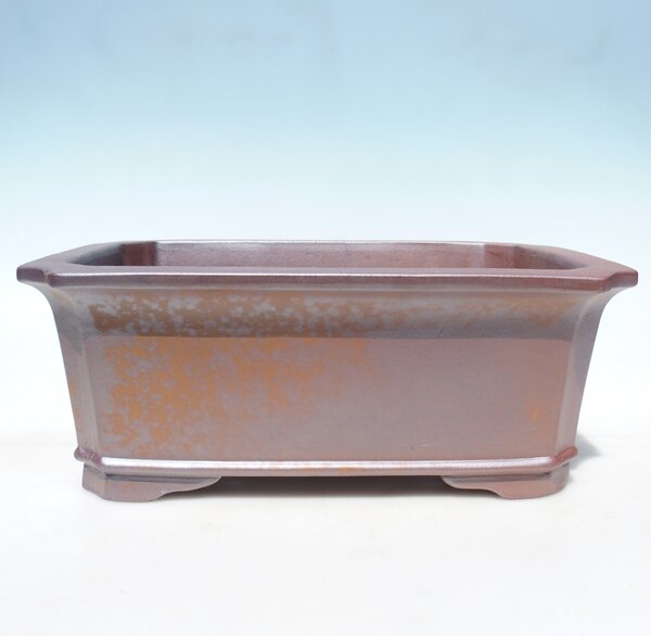 E-bonsai Miska 42 x 29,5 x 16 cm barva hnědá - POUZE OSOBNÍ ODBĚR nebo paletová přeprava