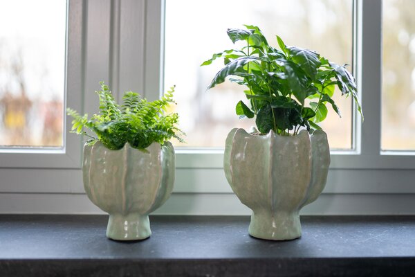 Ter Steege Obal Isabella mint D16 H17