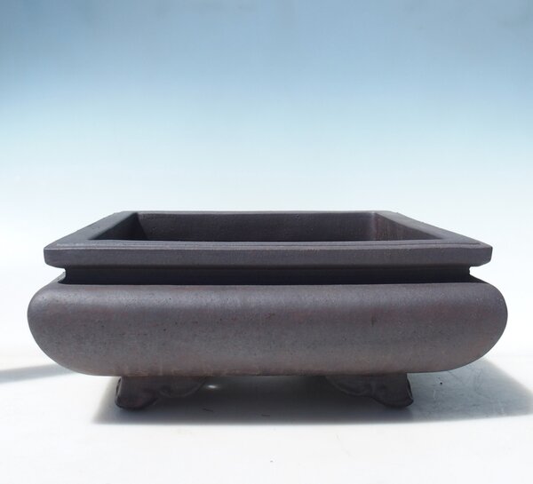 E-bonsai Miska 31 x 31 x 13 cm barva černá