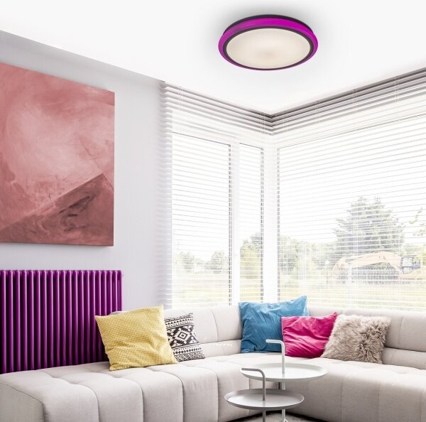 Rabalux 1510 - LED Stmívatelné stropní svítidlo LEONIE LED/32W/230V