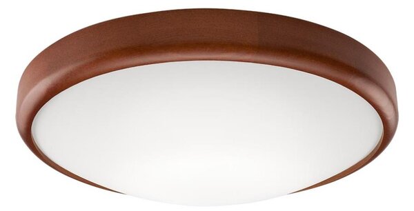 LED Stropní svítidlo 1xLED/24W/230V