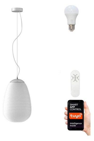 Immax NEO 07066L - LED RGBW Stmívatelný lustr COCONO 1xE27/8,5W/100-240V 24 cm