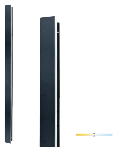 LED Venkovní nástěnné svítidlo MIRANA LED/25W/230V 4000K IP44 120 cm černá