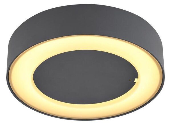 Globo 32136D - LED Venkovní stropní svítidlo SURA LED/12W/230V IP54