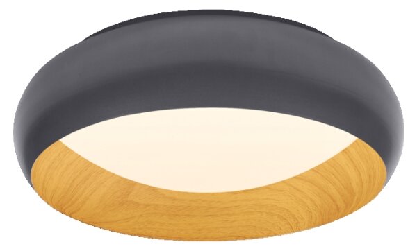 Osram-LED Stm stropní svítidlo ORBIS LIVIA LED/16W/230V pr. 30 cm antracit/hnědá
