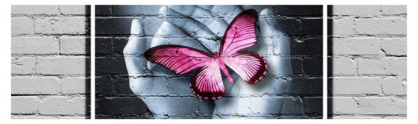 Obraz - Růžový motýl ve zdi (170x50 cm)