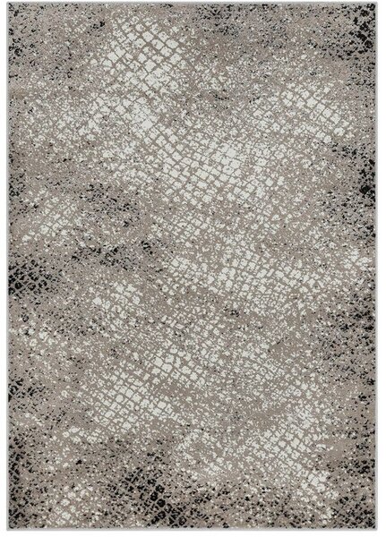 Breno Kusový koberec LIDA NEW KOLIN P Beige, 160x230 cm, Béžová/Vícebarevné