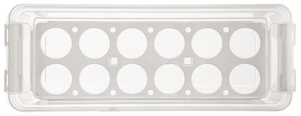Orion Box na vajíčka, obal na 12ks vajec, FRESH