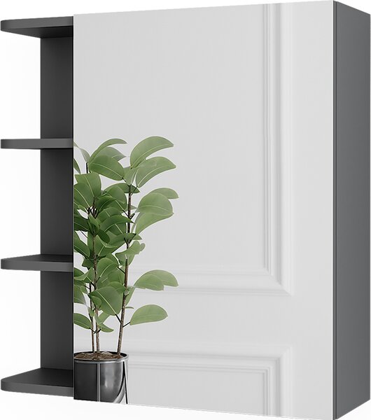 Zrcadlová skříňka Vicco Fynn Antracit 62 x 64 cm, Model 54356
