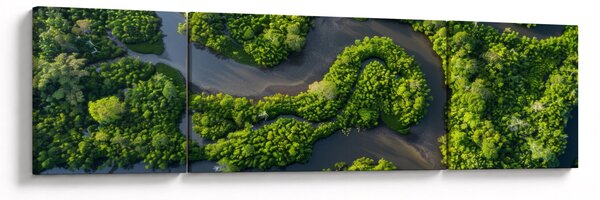 Obraz - Lesní krajina s řekou (170x50 cm)