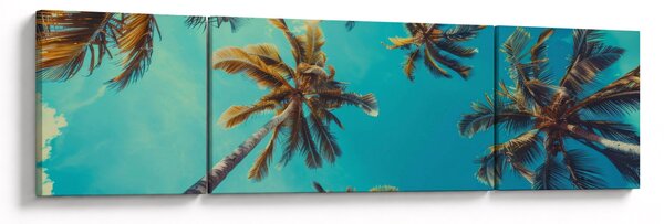 Obraz - Vysoké palmy (170x50 cm)