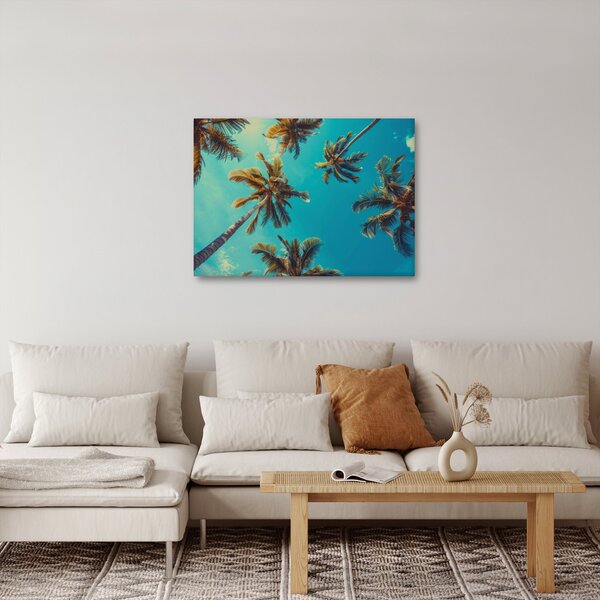 Obraz - Vysoké palmy (70x50 cm)