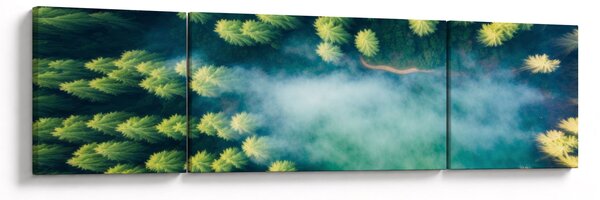 Obraz - Mlhou zahalený les (170x50 cm)